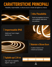 Carica l'immagine nel visualizzatore di Gallery, Striscia LED neon dimmerabile, luce calda impermeabile，5M