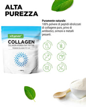 Carica l'immagine nel visualizzatore di Gallery, vit4ever Collagene in Polvere 1000 g (1 kg) - Tipi 1 e 3