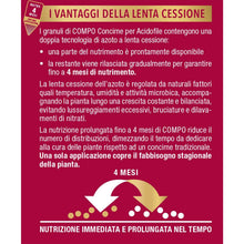 Carica l'immagine nel visualizzatore di Gallery, COMPO Concime Granulare Per Rose, In Vaso o Piena Terra, 850g