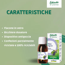 Carica l'immagine nel visualizzatore di Gallery, Estratti di Piante Ribes Nigrum - Macerato Glicerinato di Ribes Nero 60 ml