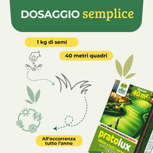 Carica l'immagine nel visualizzatore di Gallery, Albagarden - Semi Prato Universale Resistente - 40m² - Per Zone Ombreggiate e Soleggiate - Sementi Erba per Tappeti Erbo