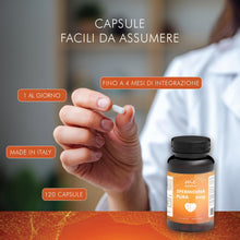 Carica l'immagine nel visualizzatore di Gallery, Spermidina Pura Alto Dosaggio | 6mg per dose | 120 capsule | Supporto Cellulare Anti-Age con Benefici per Cuore, Cervell