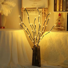 Carica l'immagine nel visualizzatore di Gallery, Set di 2 rami illuminati con 40 LED bianco caldo, rami marroni illuminati con timer, decorazioni natalizie per esterni p