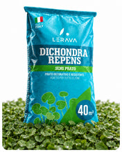 Carica l'immagine nel visualizzatore di Gallery, LERAVA Dicondra semi (40m²) - Non richiede taglio - Estrema resistenza alla siccità - semi dicondra per prato ideali per