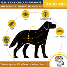 Carica l&#39;immagine nel visualizzatore di Gallery, Collare Antiparassitario per Cani, 12 Mesi Protezione Regolabile Collare Antipulci Cane, Collare Antipulci per Cani con Oli Essenziali 100% Naturali Regolabile per Tutte le Taglie