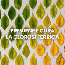 Carica l&#39;immagine nel visualizzatore di Gallery, Il Paese Verde Iron Max - Solfato Di Ferro Granulare Antimuschio, Ricco Di Ferro, Magnesio E Zolfo