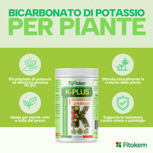 Carica l'immagine nel visualizzatore di Gallery, Fitokem K Plus Bicarbonato di Potassio per Piante 1KG Fertilizzante Concime Orto Giardino Alberi da Frutto Universale Fu