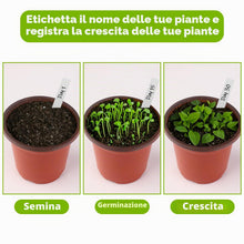 Carica l'immagine nel visualizzatore di Gallery, Vasi Plastica 100 Pezzi Vasi per Piante, Vasi Da Fiori in Plastica 9.8 cm di Diametro Vasi per Piantine, Piante, Succule