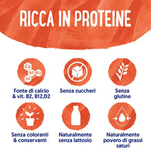 Carica l'immagine nel visualizzatore di Gallery, ALPRO SENZA ZUCCHERI, Bevanda alla SOIA, 8 confezioni da 1 Litro