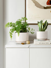 Carica l'immagine nel visualizzatore di Gallery, LE TAUCI Set da 3 Vaso in Ceramica per Piante, 11+13+17 cm di Diametro Vaso per Piante da Interno, Vasi Piccoli con Sott