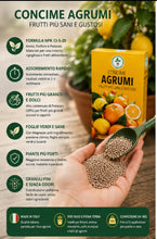 Carica l'immagine nel visualizzatore di Gallery, Floravibe Concime Agrumi NPK 13-5-20 Granulare 1Kg – Fertilizzante Rapido per Limoni, Arance, Mandarini con Magnesio – F