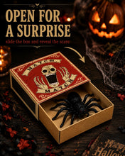 Carica l'immagine nel visualizzatore di Gallery, 5 Scatole Fiammiferi Halloween con Ragni Finti, Box Prank Robuste e Chiudibili, Decorazioni Spaventose e Regali Sorpresa