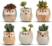 Carica l'immagine nel visualizzatore di Gallery, Vasi in Ceramica 6pz, in Ceramica con Gufo, Vaso per Fiori in Ceramica, per piante Cactus Vaso per fiori Vaso per fiori 