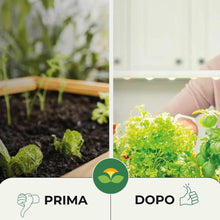 Carica l'immagine nel visualizzatore di Gallery, Albagarden - Nutrimento Per Coltivazione Idroponica E Idrocoltura - Formula Potenziata, Concime Ideale Per Serra Indoor,