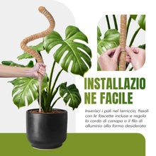 Carica l'immagine nel visualizzatore di Gallery, Mcbazel 2 Pezzi di Tubi in Muschio di Cocco Flessibili da 70 cm per Piante Rampicanti con Legacci, Tuteur Ideale per Mon