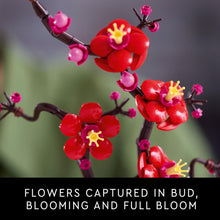 Carica l&#39;immagine nel visualizzatore di Gallery, LEGO Icons Albicocco Giapponese, Fiore Finto Artificiale da Costruire per Adulti, Decorazione Floreale per Casa dalla Botanical Collection, Idea Regalo per Donna, Uomo, Lei o Lui, Hobby Creativo 10369