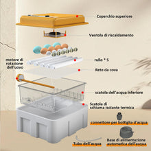 Carica l'immagine nel visualizzatore di Gallery, Incubatrice per Uova con Controllo della Temperatura e Rotazione Automatica per 16 uova, Incubatrice per Uova Automatica con rulli regolabili e aggiunta automatica di acqua