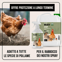 Carica l'immagine nel visualizzatore di Gallery, AniForte Spray Antiacaro per Polli, Galline e Pollame 500ml – Antiparassitario Contro Acari, Pidocchi e Parassiti, Spray