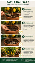 Carica l'immagine nel visualizzatore di Gallery, Floravibe Concime Agrumi NPK 13-5-20 Granulare 1Kg – Fertilizzante Rapido per Limoni, Arance, Mandarini con Magnesio – F