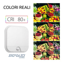 Carica l'immagine nel visualizzatore di Gallery, Sigmaled lighting - Plafoniera Led Esterno Interno 20W IP65, Applique da Parete Esterno con Sensore di Movimento, Luce C