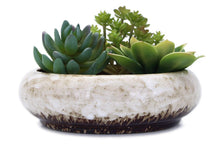 Carica l'immagine nel visualizzatore di Gallery, VanEnjoy, Vaso rotondo in ceramica smaltata per piante grasse, 18,5 cm, con foro di drenaggio, vaso per bonsai, decorazi