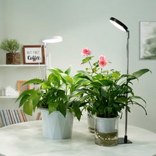 Carica l'immagine nel visualizzatore di Gallery, LED Luci per piante da tavolo, luce per da interno 6000K con timer 3/9/12H, 10 livelli di luminosità, 3 modalità di luce