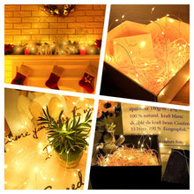 Carica l'immagine nel visualizzatore di Gallery, HOTUT Stringa Luci LED, 2*10M 100 LED Luci LED a Batteria, Luci Stringa Decorative Impermeabili, LED Luci Natale Interno