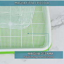 Carica l'immagine nel visualizzatore di Gallery, KAHEIGN 6Pz Vassoi per la Germinazione Dei Semi con Coperchio, 32cm x 26cm Vassoio di Germinazione di Grande Capacità Se