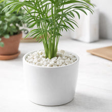 Carica l'immagine nel visualizzatore di Gallery, Ghiaia Bianca Decorativa 7–12 mm Pre-lavata – Sassolini per Vasi e Giardino – Ideale per Drenaggio e Decoro – Pietra Nat