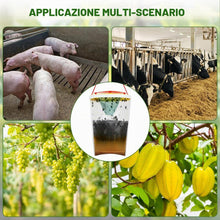 Carica l'immagine nel visualizzatore di Gallery, AOOWU Trappola per Antimosche da Interno Esterno, 4 Pezzi Trappola per Mosche, Appendere Trappola per Zanzare, Cattura M