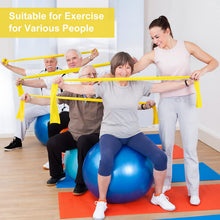 Carica l'immagine nel visualizzatore di Gallery, Elastici Palestra, Bande Elastiche Fitness Resistance Band Elastici Fisioterapia Esercizi Yoga, Pilates, Schiena Stretch