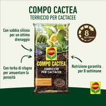 Carica l'immagine nel visualizzatore di Gallery, COMPO CACTEA Terriccio per Cactacee, Per una crescita omogenea delle piante, 5 l