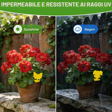 Carica l'immagine nel visualizzatore di Gallery, CNMTCCO 30 Pezzi Trappola per Moscerini, Trappole Adesive Gialle per Moscerini Della Frutta e Insetti, per Insetti Volan