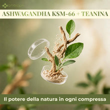 Carica l'immagine nel visualizzatore di Gallery, Ashwagandha Ksm-66 e Tè Verde per Stress e Fame nervosa 6 mesi di fornitura