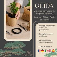 Carica l'immagine nel visualizzatore di Gallery, CULTIVEA® Kit Bonsai Box Experience – Bonsai Kit Completo per Principianti con Semi di Bonsai, Vasi, Attrezzi e Guida – 