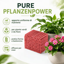 Carica l'immagine nel visualizzatore di Gallery, COM-FOUR® 150x bastoncini fertilizzanti, fertilizzante per fiori