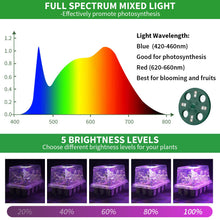 Carica l'immagine nel visualizzatore di Gallery, Vassoio di avviamento per semi con luce per piante, confezione da 2 luci per la coltivazione di semi, kit di avviamento 