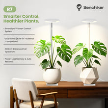 Carica l'immagine nel visualizzatore di Gallery, Luce crescita 12V Grow Light per piante da interno, spettro completo 660nm, lampada piante con timer 8/12/16H, smart plu