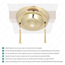 Carica l'immagine nel visualizzatore di Gallery, ElekTek Rosone da soffitto con gancio diametro 108 mm Finiture metallizzate colori verniciati a polvere per lampade a so