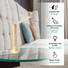 Carica l'immagine nel visualizzatore di Gallery, Fishtec Lampada da Scrivania a 20 LED COB - Lampada da comodino Tattile - Lampada da tavolo con 3 Livelli di luminosità 