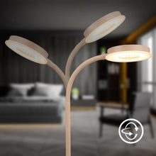 Carica l'immagine nel visualizzatore di Gallery, BRILONER - Lampada da tavolo a LED con touch, dimmerabile a passi, orientabile, lampada da comodino, lampada da scrivani