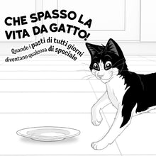 Carica l'immagine nel visualizzatore di Gallery, FELIX Le Ghiottonerie Cibo Umido per Gatti Adulti, 80 Bustine da 85g, Carne