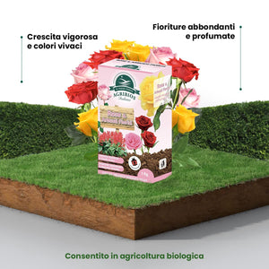 Il Paese Verde Rose E Arbusti Fioriti 1kg - Concime Per Rose Granulare Per Fioriture Abbondanti E Profumo Intenso. Concime Per Arbusti Fioriti Come Glicine, Oleandro, Lavanda, Concime Siepe.