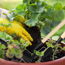 Carica l'immagine nel visualizzatore di Gallery, RosewineC Set di 11 mini attrezzi da giardinaggio in lino per trapianto di piante grasse e operazioni con pala, comodo per interni ed esterni, piccolo giardino delle fate