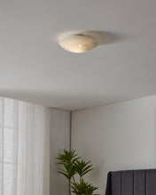 Carica l'immagine nel visualizzatore di Gallery, Eglo lampada da soffitto Mars, applique a 1 luce, lampada da soffitto in