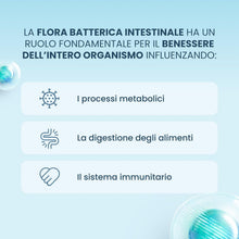 Carica l'immagine nel visualizzatore di Gallery, Enterogermina Benessere Intestinale, Fermenti Lattici Probiotici, Integratori Adulti e Bambini 3+ Favorisce l’Equilibrio della Flora Batterica Intestinale, Senza Glutine (10 Flaconcini/5 ml)