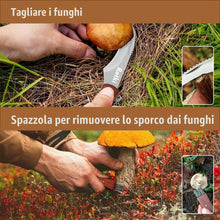 Carica l'immagine nel visualizzatore di Gallery, Coltello per Funghi in Acciaio Inox con Spazzola - Raccolta e Pulizia Micologica