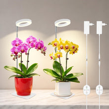 Carica l'immagine nel visualizzatore di Gallery, Luce crescita 12V Grow Light per piante da interno, spettro completo 660nm, lampada piante con timer 8/12/16H, smart plu