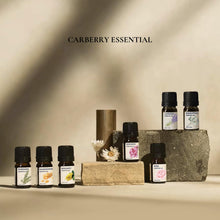 Carica l'immagine nel visualizzatore di Gallery, Oli Essenziali - Kit di Oli 100% Puri - Top 12 Set Regalo di Oli Aromaterapici - Confezione da 12, 10 ml (Eucalipto, Lavanda, Erba Limone, Arancio, Menta Piperita, Albero del Tè)