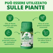 Carica l'immagine nel visualizzatore di Gallery, Gardemia Olio di Neem per Piante 250ml 100% Vegetale Azione Naturale contro varie Avversità Giardino Multiuso Concentrat